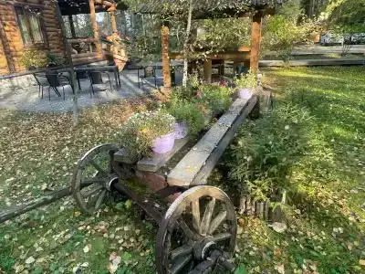 Русские бани - 10