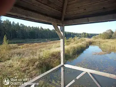 Земляничная поляна - 4