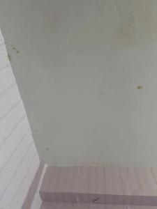 Центральная - 63