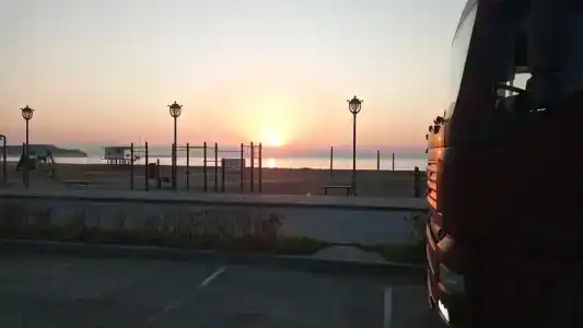 Звезда моря - 48