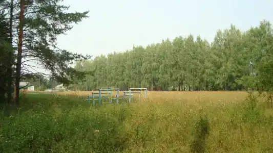 Ласточка - 14