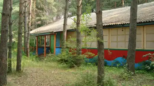 Ласточка - 5
