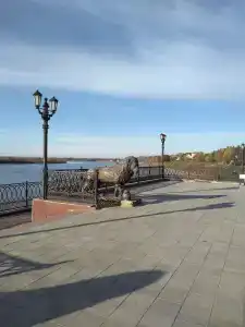 ДУК - 46