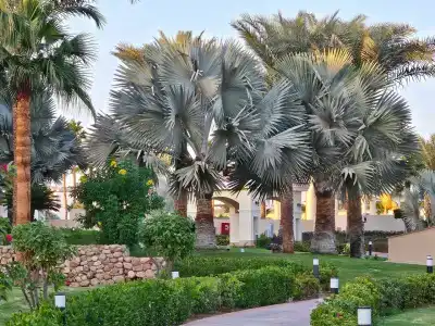 Xperience Kiroseiz AquaPark Premier-Naama Bay - 15