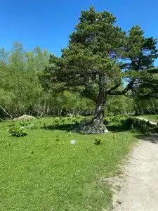 Горное эхо - 8