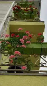 Уют отель - 86