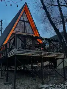 Богатый лес - 40