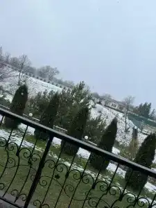 Зеленая Долина - 30