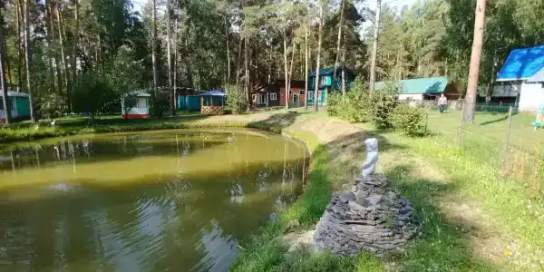 Обские просторы - 20