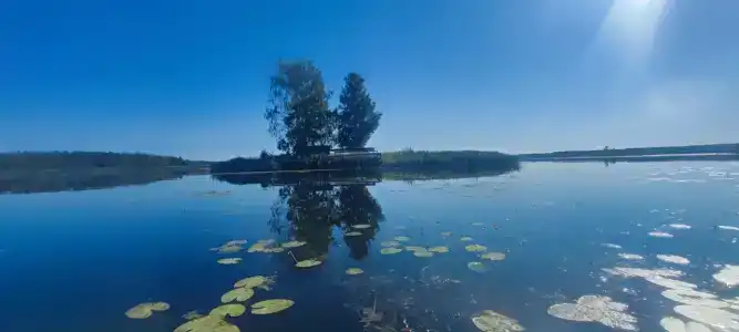 Русский Двор - 12