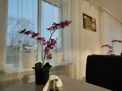МилАли - 4