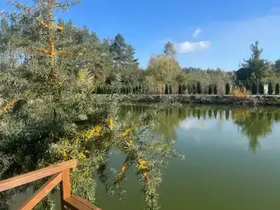 Бабушкина хата - 14