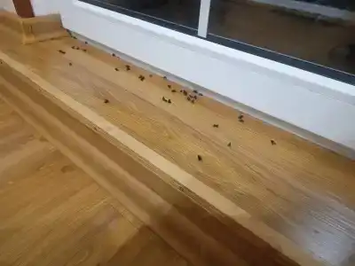 Трактир 3 копъйки - 12