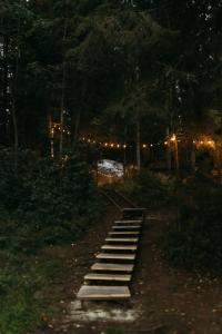 Villy Uley Karelia (Вили Улей Карелия) - 81