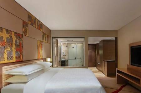 Sheraton Grand Bengaluru Whitefield & Convention Center - 55