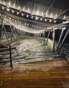 Главрыба - 71