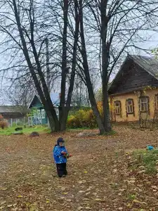 Рулёвка - 23