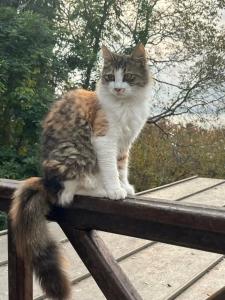 DoubleTree By Hilton Istanbul - Moda - 29