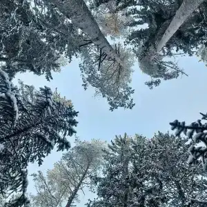 Долина Парк - 24