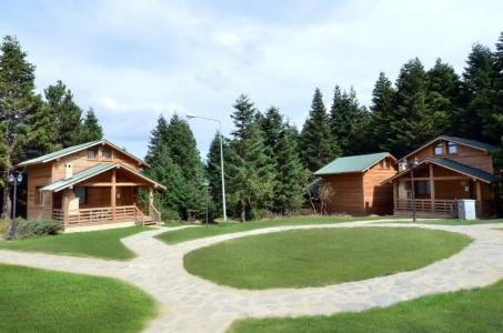 Uludag Orman Koskleri - 22