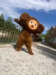Китой - 1