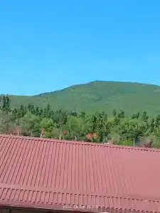 Светлана - 22