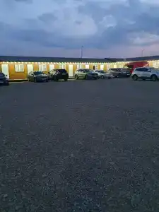 Феникс - 23