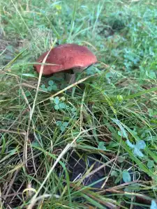 Абракадабра - 72