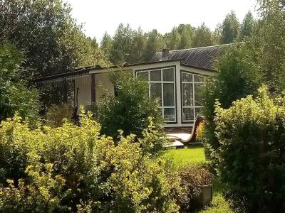 Метелица - 87