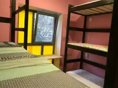 Вежливый Лось на Ботаническом саду - 0