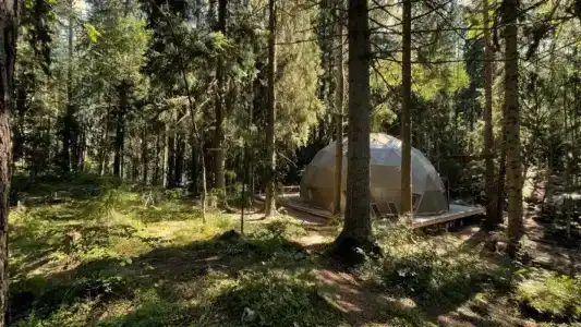 Villy Uley Karelia (Вили Улей Карелия) - 55