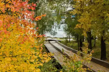 Бурдугуз - 23