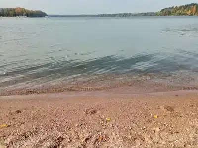 Смородина - 15