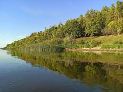 Пчелинцево - 43