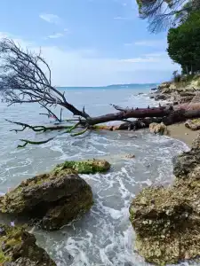 Морской бриз - 4