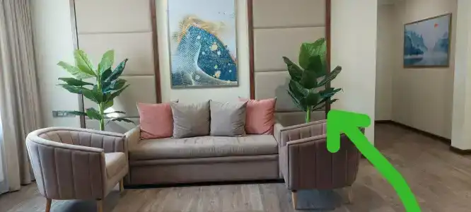 Layner Complex - 97