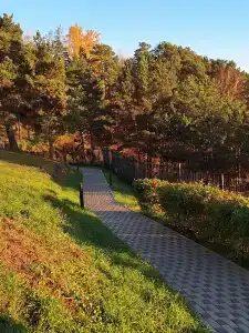 Лукоморье - 28