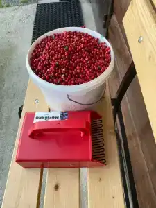 Гостевой комплекс в д. Нурмолицы - 47