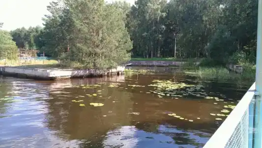 Волна - 74