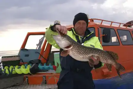 Big Fish - 21