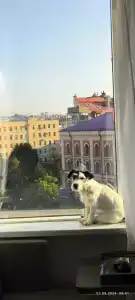 Novotel Центр - 7