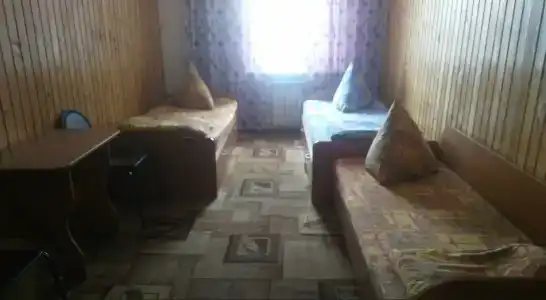 Подсолнух - 6