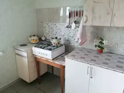 Свирский Пляж - 55