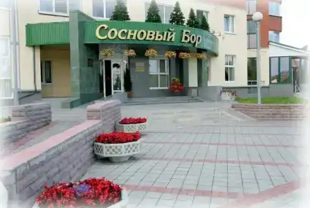 Сосновый Бор - 0