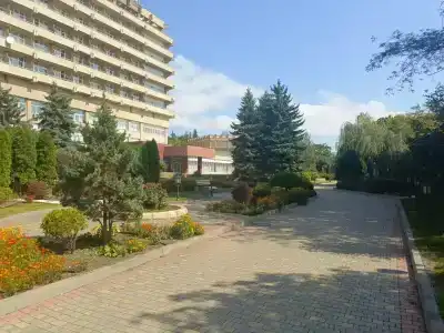 Дон - 91