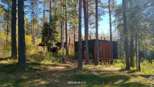 Стеклянный берег - 40