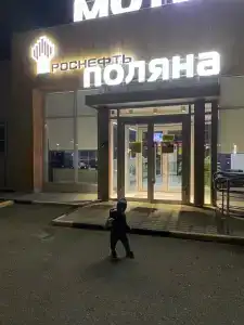 Поляна - 10