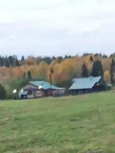 Маркомусы - 50