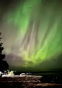 Кедр Грасс Белое Море - 13