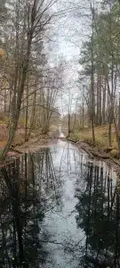 Белое озеро - 96